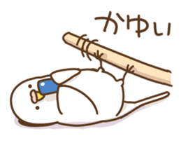 parakeet PARAKEET sticker #11831623