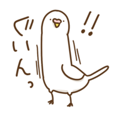 parakeet PARAKEET sticker #11831625