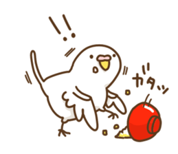 parakeet PARAKEET sticker #11831627