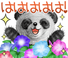 mohu panda summer sticker #11835558