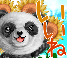 mohu panda summer sticker #11835565