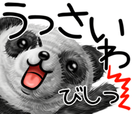 mohu panda summer sticker #11835581