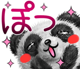 mohu panda summer sticker #11835584