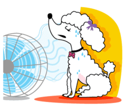 "LUCY the Crooked Jaw Poodle" sticker #11837707