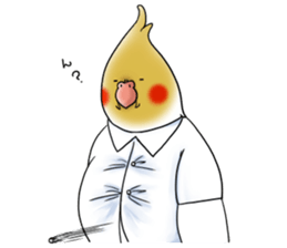 Creatures such as the cockatiel 5 sticker #11838550