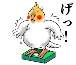 Creatures such as the cockatiel 5 sticker #11838552