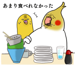 Creatures such as the cockatiel 5 sticker #11838562