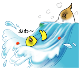 Creatures such as the cockatiel 5 sticker #11838568