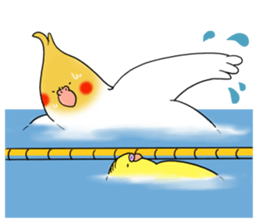 Creatures such as the cockatiel 5 sticker #11838573