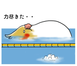 Creatures such as the cockatiel 5 sticker #11838574