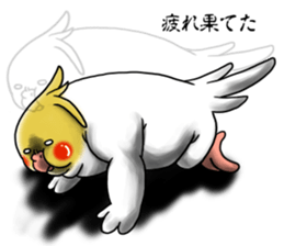 Creatures such as the cockatiel 5 sticker #11838583