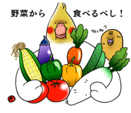 Creatures such as the cockatiel 5 sticker #11838585