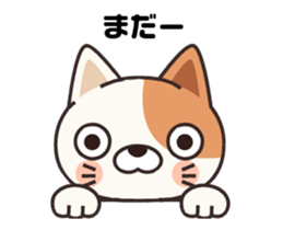 Animation!! Own pace cat guy sticker #11843740