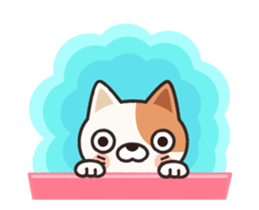 Animation!! Own pace cat guy sticker #11843746