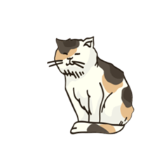 MOVIN' EDOKKO'S! sticker #11845241