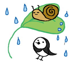 Ray's water wagtail sticker #11845412