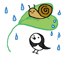 Ray's water wagtail sticker #11845412