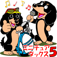 Invitation of miniature dachshund