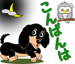 Invitation of miniature dachshund sticker #11846074