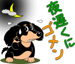 Invitation of miniature dachshund sticker #11846075