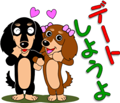 Invitation of miniature dachshund sticker #11846077