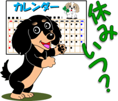 Invitation of miniature dachshund sticker #11846078