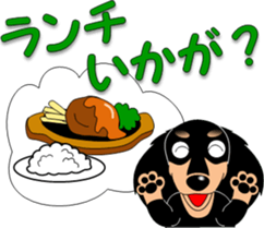 Invitation of miniature dachshund sticker #11846085