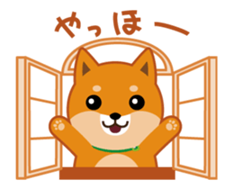 It moves! Shiba dog "MUSASHI" sticker #11849166