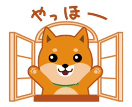 It moves! Shiba dog "MUSASHI" sticker #11849166