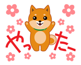 It moves! Shiba dog "MUSASHI" sticker #11849172