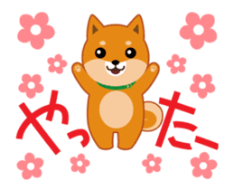 It moves! Shiba dog "MUSASHI" sticker #11849172