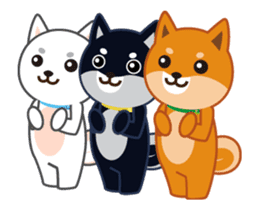 It moves! Shiba dog "MUSASHI" sticker #11849179