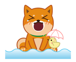 It moves! Shiba dog "MUSASHI" sticker #11849183