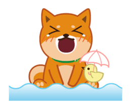 It moves! Shiba dog "MUSASHI" sticker #11849183