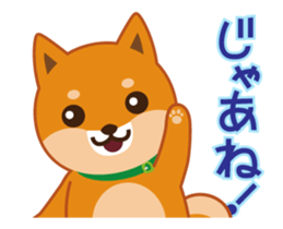It moves! Shiba dog "MUSASHI" sticker #11849189
