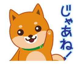 It moves! Shiba dog "MUSASHI" sticker #11849189