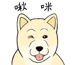 The fool shiba sticker #11850190