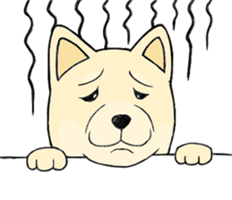 The fool shiba sticker #11850193