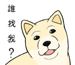 The fool shiba sticker #11850195