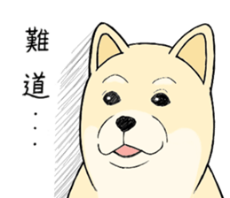 The fool shiba sticker #11850196