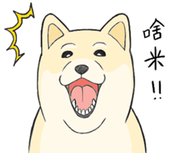 The fool shiba sticker #11850197