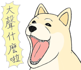 The fool shiba sticker #11850198
