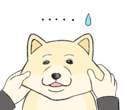 The fool shiba sticker #11850200