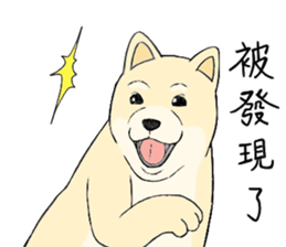 The fool shiba sticker #11850201