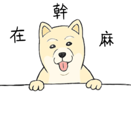 The fool shiba sticker #11850203