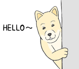 The fool shiba sticker #11850204
