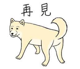 The fool shiba sticker #11850208