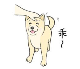 The fool shiba sticker #11850213
