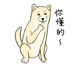 The fool shiba sticker #11850214