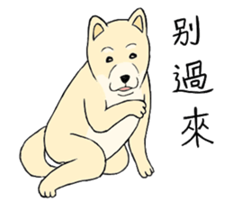 The fool shiba sticker #11850215